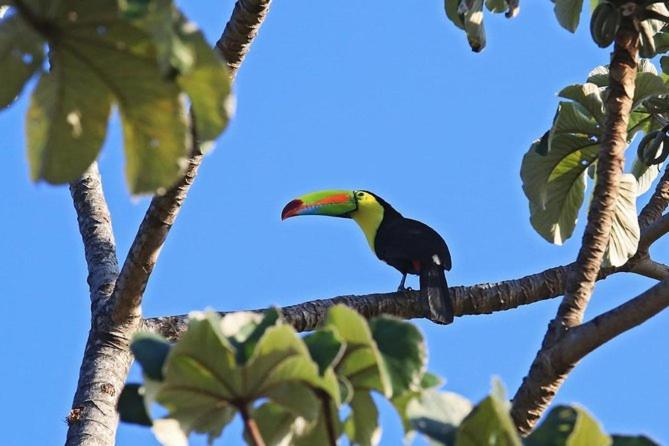 Cabana Itze La Fortuna Buitenkant foto